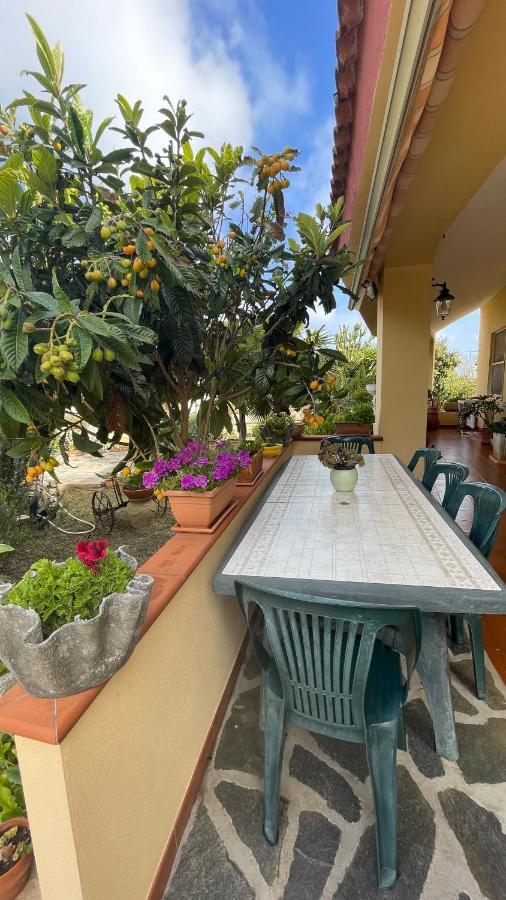 La Mansarda Bed & Breakfast Biancareddu Ngoại thất bức ảnh